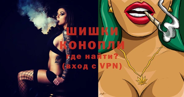 spice Бронницы
