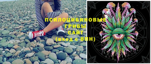кокс Анива