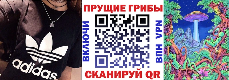 что такое наркотик  Камызяк  Галлюциногенные грибы Cubensis 