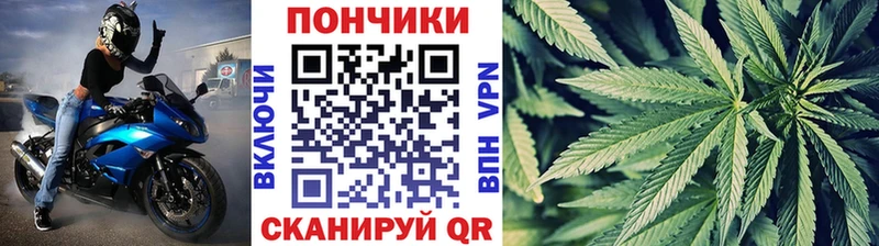 Каннабис план  продажа наркотиков  KRAKEN tor  Камызяк 
